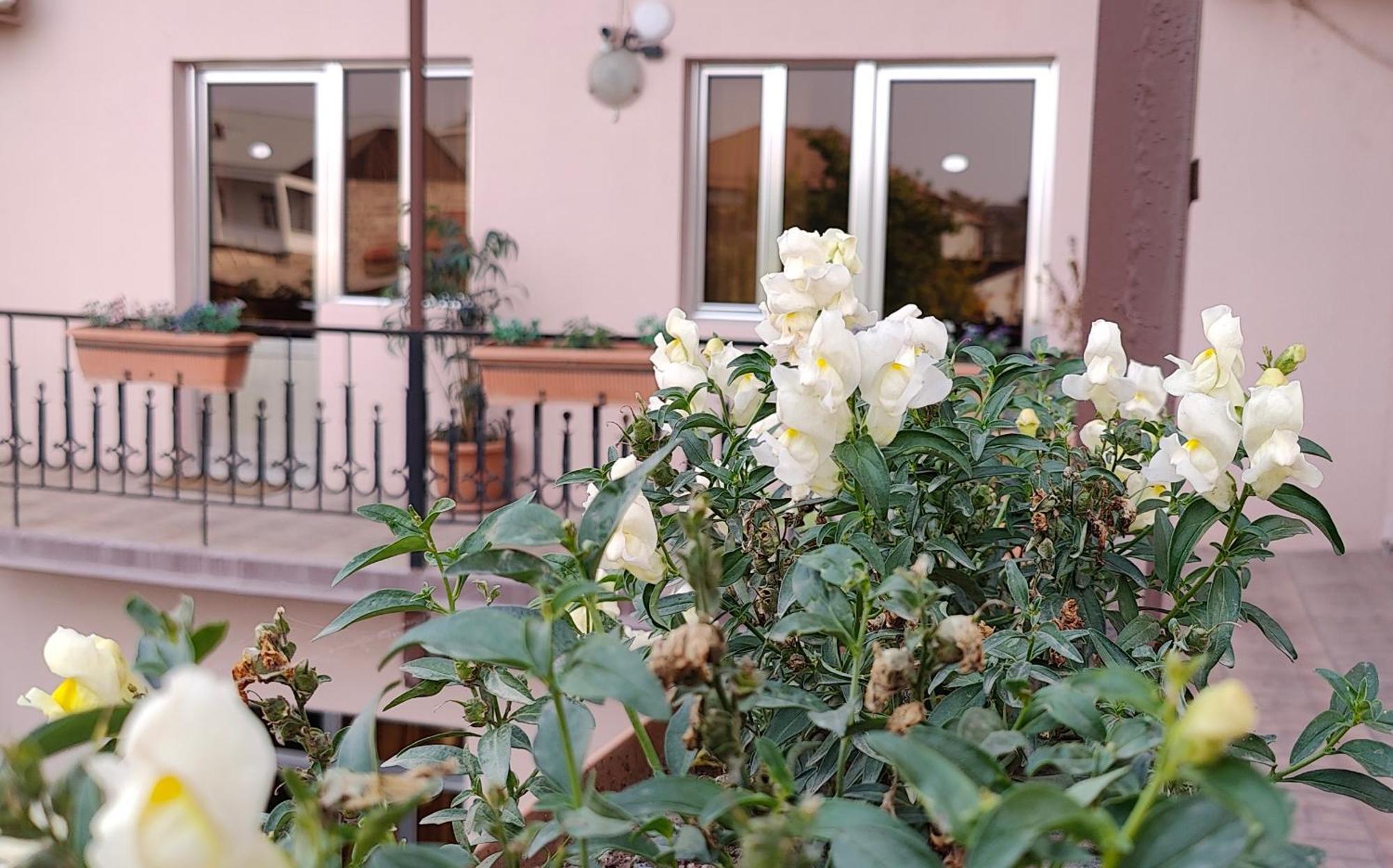 Areg Hotel Erivan Dış mekan fotoğraf